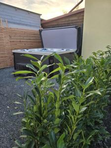 Vonkajšia záhrada v ubytovaní Apartmány Centro & Jacuzzi