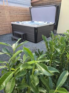 Vonkajšia záhrada v ubytovaní Apartmány Centro & Jacuzzi
