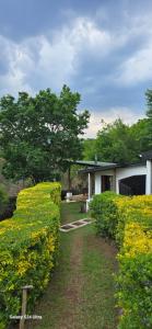 a garden with yellow flowers and a white house at Villa by Voila in Mbabane +11 photos