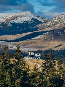 una casa in mezzo a una montagna innevata di Alpine Blu - Horezu - Varful lui Roman - Sauna, Hot Tub & Gym a Horezu