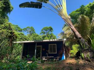 En have udenfor Ojochal maison moderne piscine creusée