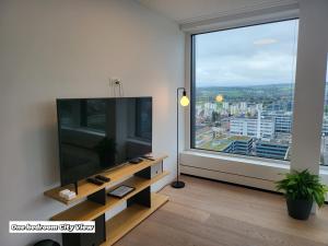 TV a/nebo společenská místnost v ubytování Park Tower City View Apartments