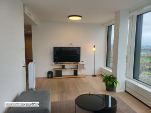 TV a/nebo společenská místnost v ubytování Park Tower City View Apartments