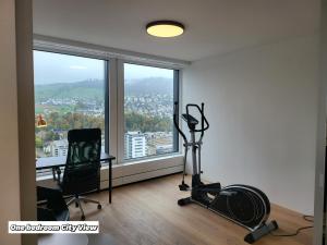 Fitness centrum a/nebo fitness zařízení v ubytování Park Tower City View Apartments