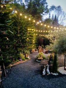 Foto sihtkohas Ban Tai asuva majutusasutuse 360 Black Cabin CNX galeriist