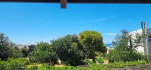 Zahrada ubytování CHochitas 4p