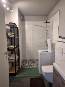Koupelna v ubytování Gemütliche Ferienwohnung mit 1 Schlafzimmer, Wohnzimmer mit Schlafcouch & voll ausgestattete Küche