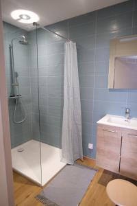 a bathroom with a shower and a sink at Gîte et Chambres d'hôtes du Musée Ecole in Le Monastier sur Gazeille