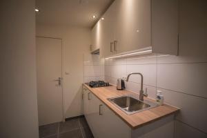 una cocina con fregadero y encimera en Apartment Zandster, en Zandvoort 19 fotos más