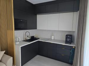 Kuchyň nebo kuchyňský kout v ubytování Baltic Waves Resort B006