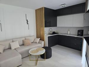 Kuchyň nebo kuchyňský kout v ubytování Baltic Waves Resort B006