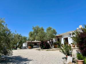 dom z żwirowym podjazdem przed nim w obiekcie La Mejorana Refugio andaluz con piscina entre olivos w mieście Villanueva de Tapia