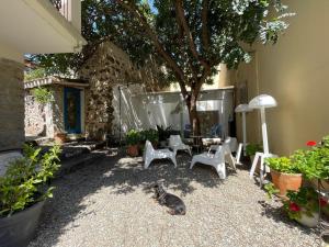 a cat laying on the ground in a yard with chairs and a tree at Il Carrubo with Jacuzzi & Sauna - Tiny House in Bari Sardo