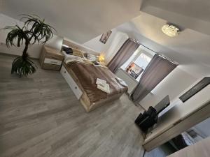 a bedroom with a large bed and a potted plant at 4 Apartments Angels o k b in Altenburg