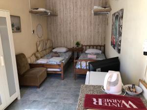 a living room with two beds and a couch at Converted Shed Studio & Garden Hanging Bed in Porto Rafti