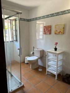 ティハラフェにあるVilla feliz Los Abuelos Aのトイレとガラスのシャワー付きのバスルーム