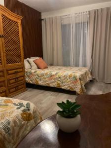 a bedroom with two beds and a table with a plant at CasaNinos, casa de la gente buena in Aguascalientes