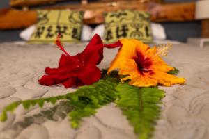 Gallery image of Hotel Uka Mana in Hanga Roa