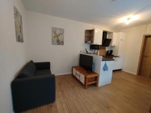 a living room with a couch and a small kitchen at Ferienwohnung LandZeit 1 in Schömberg
