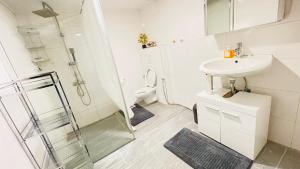 Un baño con inodoro, lavabo y ducha. en Kami Haus, en Saarbrücken