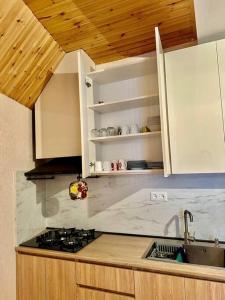 a kitchen with a sink and a stove top oven at Bakuriani Haystack Apartment 219 Rooftop Views in Bakuriani