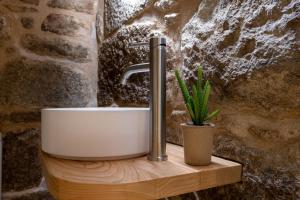 a bathroom sink with a faucet and a plant at Hostal HCELENIS in Caldas de Reis