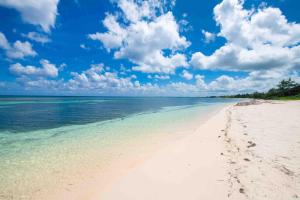 Imagen de la galería de Timmys Place - Charming Oceanfront Villa with Direct Beach Access and Scenic Views, en Driftwood Village