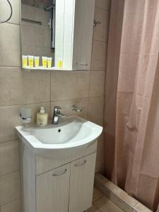 un bagno con un lavandino bianco e una doccia di Chris&Chris Luxury apartment a Mesolongi (Missolungi )