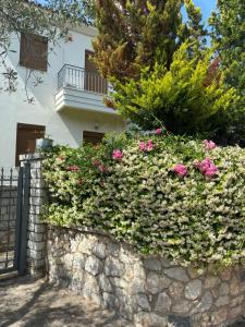 Zahrada ubytování CASA DI MADI