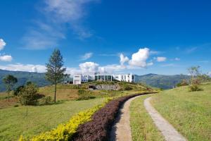 ヌワラエリヤにあるSingha Sanasa Luxury Homestayの坂の上の家