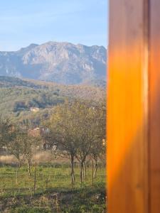 Gallery image of Pensiunea Subcarpati in Jiblea Veche