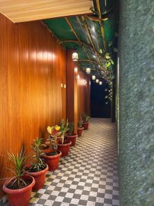 Fotografie z fotogalerie ubytování Cozy Home Stay v destinaci Váránasí