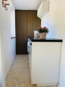 Fotografie z fotogalerie ubytování Ferienhaus im Treenetal - zwischen Nordsee und Ostsee v destinaci Treia + 16 fotografií