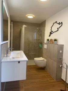 ein Badezimmer mit Waschbecken, Toilette und Dusche in der Unterkunft Ferienwohnung in Adenau am Nürburgring in Adenau