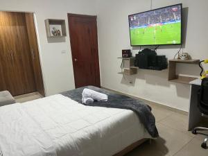 Televisyen dan/atau pusat hiburan di Casa Hostal los Profes