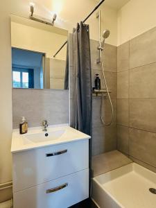 Un baño con lavabo blanco y ducha. en Studio 6 Proche Centre Ville avec Wifi Parking Troyes, en Troyes