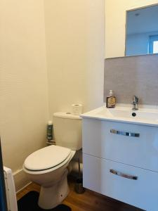 Un baño con un inodoro blanco y un lavabo. en Studio 6 Proche Centre Ville avec Wifi Parking Troyes, en Troyes