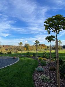 a garden with a tree and a pond at Le Daguet pour 4 in Florenville