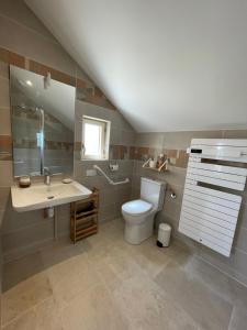 a bathroom with a toilet and a sink at Fermette et Ecuries Tourangelles in Bréhémont +48 photos