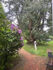 Κήπος έξω από το Villa Böhme