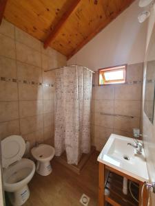 un baño con inodoro y lavabo en Los Colibríes, en Lago Puelo