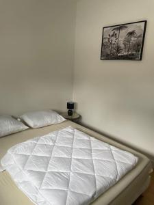 a white bed in a bedroom with a picture on the wall at Les Chalets du Mancel Chalet Maïka -Bouleries Jump - 24h du Mans in Parence