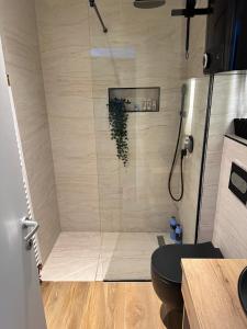 un bagno con doccia e WC al suo interno di Apartmani Snowflake a Jahorina Altre 19 foto