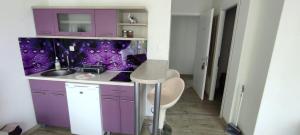 Kuchyň nebo kuchyňský kout v ubytování ROYAL VIEW Apartments