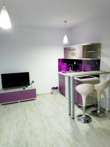 Kuchyň nebo kuchyňský kout v ubytování ROYAL VIEW Apartments