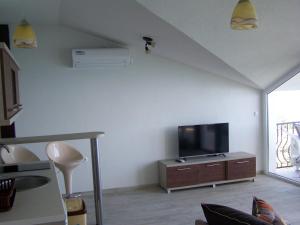 TV a/nebo společenská místnost v ubytování ROYAL VIEW Apartments