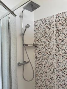 une douche avec pommeau de douche dans une salle de bain dans l'établissement La Galotière, à Ingrandes-de-Touraine