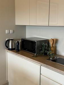 Dapur atau dapur kecil di Apartament Buena Vista Czarna Góra Sienna