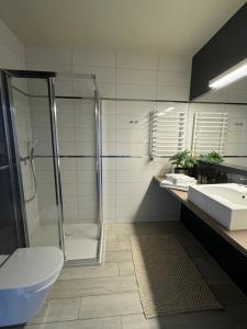 Bilik mandi di Apartament Buena Vista Czarna Góra Sienna +9 gambar