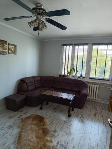 salon z kanapą i wentylatorem sufitowym w obiekcie Apartament ul. Wczasowa 300 m od morza w Ustce
